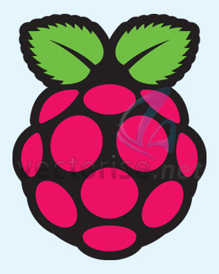 Vectorise Logo | Raspberry Pi - Vectorise Logo