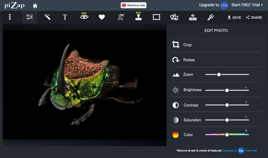 15 Best Free Online Photo Editor Vectorise